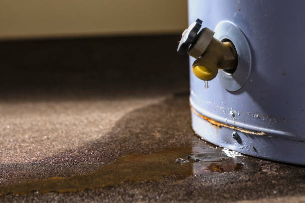 Best Flooded house restoration  in Rolling Fork, MS