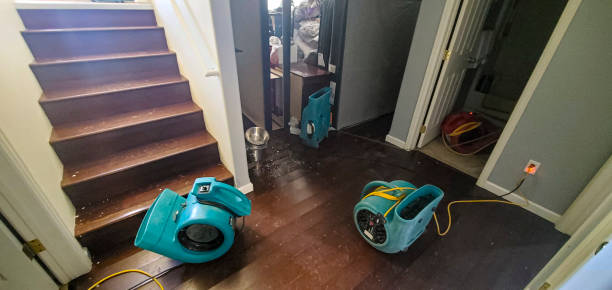 Best Water damage restoration process  in Rolling Fork, MS