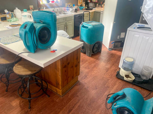 Best Ceiling water damage repair  in Rolling Fork, MS