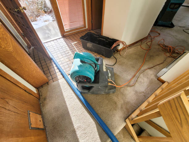 Best Fire Damage Restoration  in Rolling Fork, MS