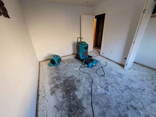 Best Professional water damage repair  in Rolling Fork, MS