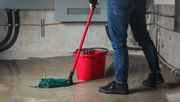 Best 24/7 water damage repair  in Rolling Fork, MS