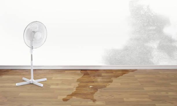 Best Flood restoration services  in Rolling Fork, MS