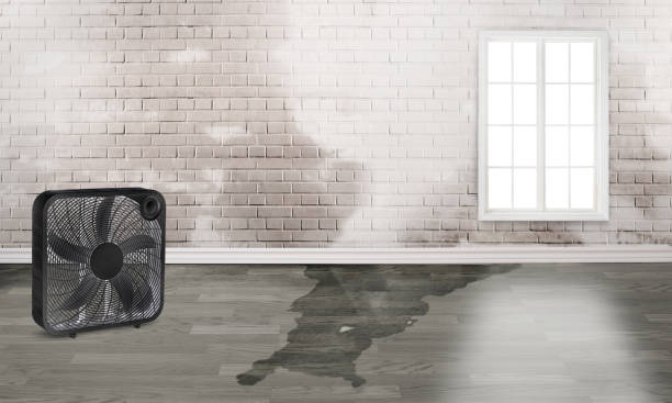 Water damage restoration process in Rolling Fork, MS