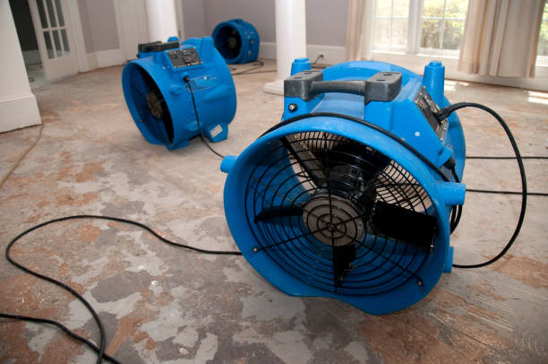 Best Ceiling water damage repair  in Rolling Fork, MS