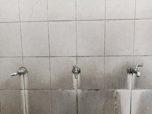 Best 24-hour water damage restoration  in Rolling Fork, MS