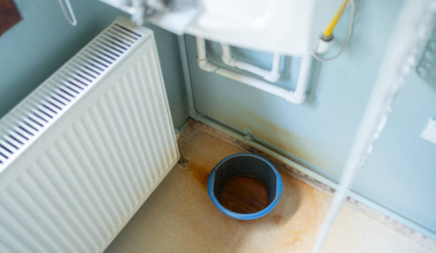 Best Flood damage cleanup  in Rolling Fork, MS