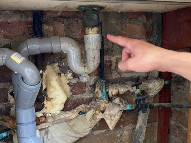 Best Residential water damage restoration  in Rolling Fork, MS